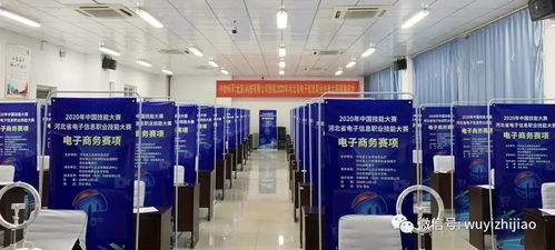 衡水市武邑職教中心教師在河北省電子信息服務業(yè)職業(yè)技能大賽中榮獲佳績，彰顯信息電子技術(shù)服務專業(yè)實力